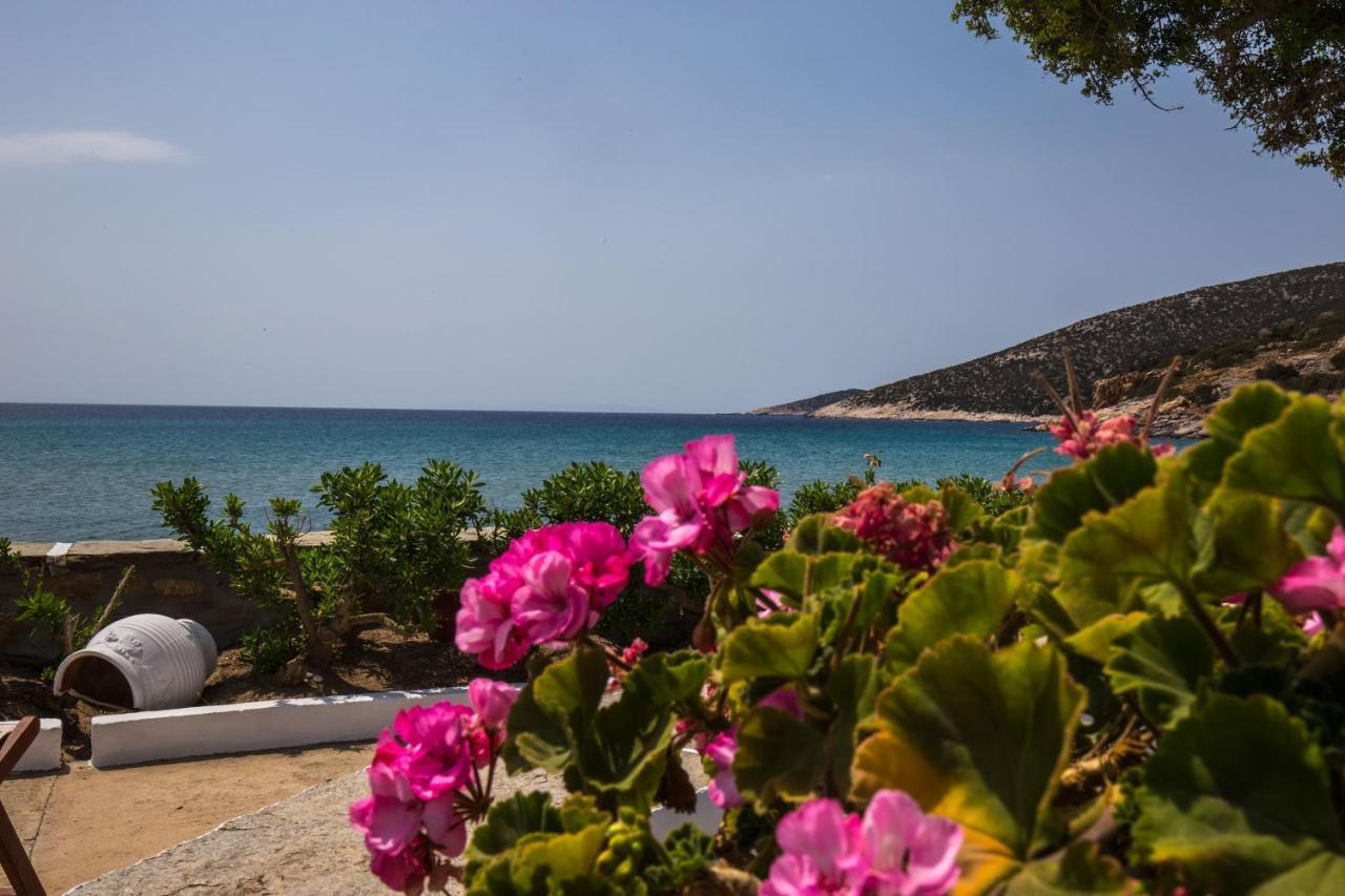 Pension Ageliki Sifnos Platis Gialos  Eksteriør bilde